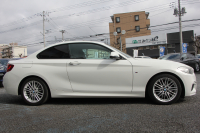 BMW 2シリーズ 220i ｸｰﾍﾟMｽﾎﾟｰﾂ 衝突軽減ﾌﾞﾚｰｷ 車線逸脱警告 歩行者警告 ﾌﾞﾚｰｷ付ｸﾙｺﾝ ﾀｯﾁﾊﾟｯﾄﾞ対応HDDﾅﾋﾞBｶﾒﾗ 専用ｴｱﾛ 17AW ｼ-ﾄﾒﾓﾘ- ｽﾏｰﾄｷｰ 直噴ﾀｰﾎﾞ8速AT ﾐﾗｰETC Bluetooth接続 2年保証