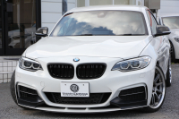 BMW 2シリーズ M235i ｸｰﾍﾟ直6ﾀｰﾎﾞ326馬力 Mﾊﾟﾌｫｰﾏﾝｽｴｱﾛ ｱﾄﾞﾊﾞﾝﾚｰｼﾝｸﾞ鍛造19AW ｱﾀﾞﾌﾟﾃｨﾌﾞMｻｽ ﾌﾙｾｸﾞTV Bｶﾒﾗ&ﾘｱPDC 衝突軽減ﾌﾞﾚｰｷ 車線逸脱警告 歩行者警告 ﾌﾞﾚｰｷ付ｸﾙｺﾝ ﾊﾟﾄﾞﾙｼﾌﾄ 8速AT ﾀｯﾁﾊﾟｯﾄﾞ対応HDDﾅﾋﾞ2年保証