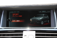 BMW X3 ｾﾚﾌﾞﾚｰｼｮﾝｴﾃﾞｨｼｮﾝﾌﾞﾗｯｸｱｳﾄ 最終ﾓﾃﾞﾙ 特別限定車 ﾋｰﾀｰ黒革 追従ACC ﾚｰﾝﾁｪﾝｼﾞ警告 360度ｶﾒﾗ NEWﾃﾞｻﾞｲﾝｽﾃｱﾘﾝｸﾞ変更後iﾄﾞﾗｲﾌﾞHDDﾅﾋﾞTV Hi-fiｽﾋﾟｰｶｰ 電動ﾄﾗﾝｸ ｽﾏｰﾄｷｰ ﾊﾟﾄﾞﾙｼﾌﾄ ﾌﾞﾗｯｸ18AW 2年保証