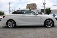 BMW 2シリーズ 220i ｸｰﾍﾟMｽﾎﾟｰﾂ 3Dﾃﾞｻﾞｲﾝﾏﾌﾗｰ ｵﾌﾟｼｮﾝ18AW 衝突軽減ﾌﾞﾚｰｷ 車線逸脱警告 歩行者警告 ﾌﾞﾚｰｷ付ｸﾙｺﾝ ﾀｯﾁﾊﾟｯﾄﾞ対応HDDﾅﾋﾞBｶﾒﾗ Bluetooth接続 左右独立ｵｰﾄｴｱｺﾝ ｽﾏｰﾄｷｰ 直噴ﾀｰﾎﾞ8速AT 2年保証