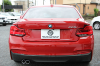BMW 2シリーズ 220i ｸｰﾍﾟMｽﾎﾟｰﾂ 後期LCI LEDﾍｯﾄﾞﾗｲﾄ&LEDﾃｰﾙ 追従ACC ｼｰﾄﾋｰﾀｰ 変更後ﾀｯﾁ画面HDDﾅﾋﾞBｶﾒﾗ Bluetooth接続 Pｱｼｽﾄ 衝突軽減ﾌﾞﾚｰｷ 車線逸脱警告 歩行者警告 専用ｴｱﾛ ｽﾏｰﾄｷｰ 8速AT 直噴ﾀｰﾎﾞ2年保証