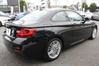 BMW 2シリーズ 220i ｸｰﾍﾟMｽﾎﾟｰﾂ 衝突軽減ﾌﾞﾚｰｷ 車線逸脱警告 歩行者警告 ﾌﾞﾚｰｷ付ｸﾙｺﾝ 直噴ﾀｰﾎﾞ8速AT ﾊﾟﾄﾞﾙｼﾌﾄ Applecarplay対応 ｱﾝﾄﾞﾛｲﾄﾞｵｰﾄ ﾀｯﾁﾊﾟｯﾄﾞ対応HDDﾅﾋﾞBｶﾒﾗ ｽﾏｰﾄｷｰ Bluetooth接続 専用ｴｱﾛ 17AW 2年保証