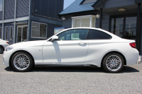 BMW 2シリーズ 220i ｸｰﾍﾟ Mｽﾎﾟｰﾂ ﾊﾟｰｷﾝｸﾞｻﾎﾟｰﾄP 衝突軽減ﾌﾞﾚｰｷ 車線逸脱警告 車線逸脱警告 ﾌﾞﾚｰｷ付ｸﾙｺﾝ ﾌﾙｾｸﾞTV iﾄﾞﾗｲﾌﾞHDDﾅﾋﾞBluetooth接続 Bｶﾒﾗ ｱﾙｶﾝﾀｰﾗ電動ｼｰﾄ 17AW Mｽﾎﾟｰﾂｴｱﾛ ﾊﾟﾄﾞﾙｼﾌﾄ 直噴ﾀｰﾎﾞ8速AT 2年保証
