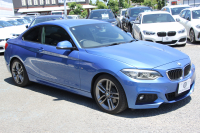 BMW 2シリーズ 220i ｸｰﾍﾟMｽﾎﾟｰﾂ 後期ﾓﾃﾞﾙ ﾌｪｲｽﾘﾌﾄ後 追従ACC LEDﾍｯﾄﾞﾗｲﾄ&ﾃｰﾙ ｵﾌﾟｼｮﾝ18AW ｼｰﾄﾋｰﾀｰ ﾀｯﾁ画面HDDﾅﾋﾞPｱｼｽﾄ Bｶﾒﾗ 左右独立ｵｰﾄｴｱｺﾝ 衝突軽減ﾌﾞﾚｰｷ 車線逸脱警告 歩行者警告 専用ｴｱﾛ Bluetooth接続 2年保証
